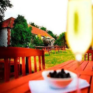 Greyhound Kro Ganton