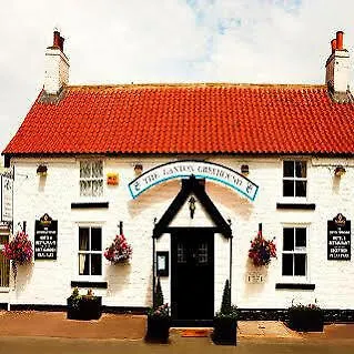 Мини-отель Greyhound 3*